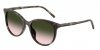 OKULARY DOLCE & GABBANA DG 4540 34782C 55 ROZMIAR M